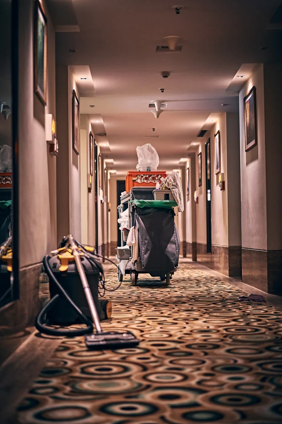 Floor Care Everett Washington